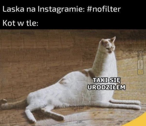 Śmieszny mem: 6528232 - MemLand