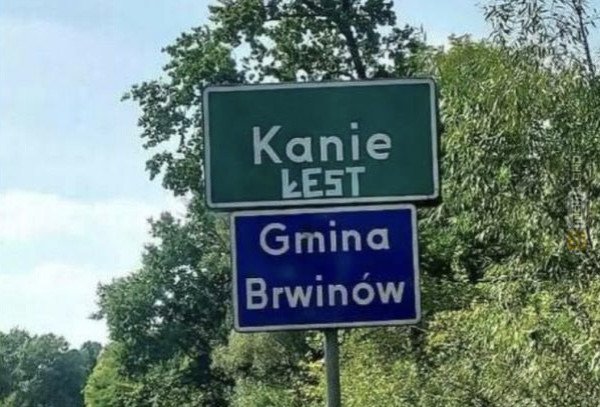 Śmieszny mem: 6530808 - MemLand