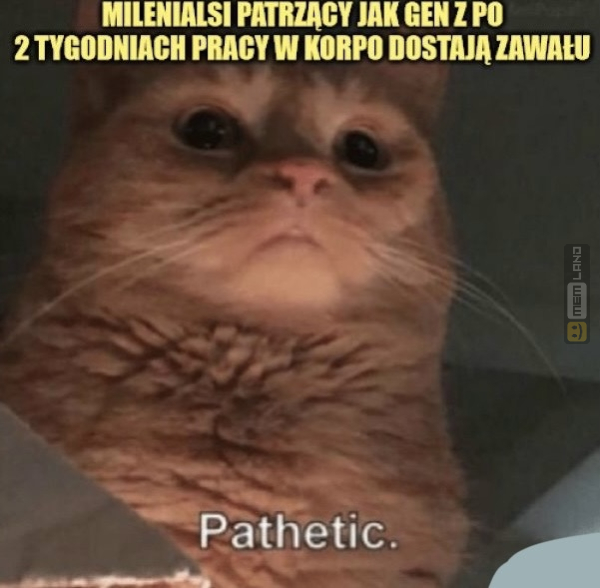 Śmieszny mem: 6532604 - MemLand