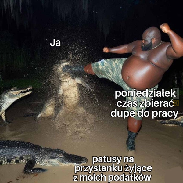 Śmieszny mem: 6538677 - MemLand