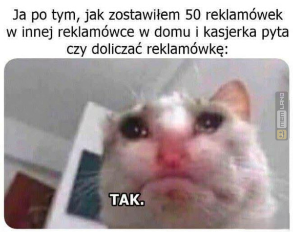 Śmieszny mem: 6541801 - MemLand