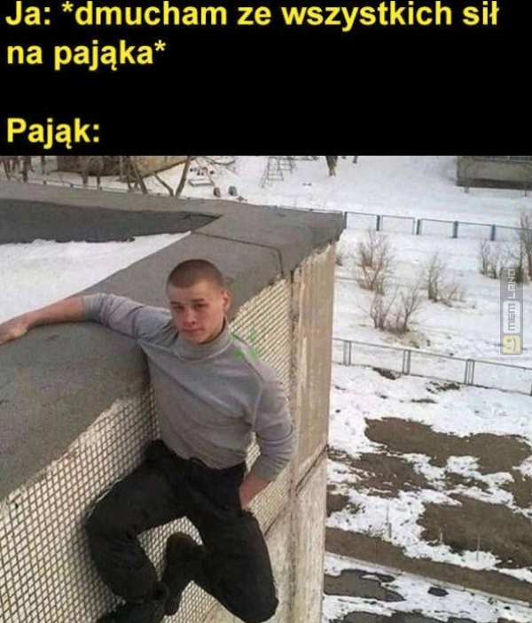 Śmieszny mem: 6544166 - MemLand