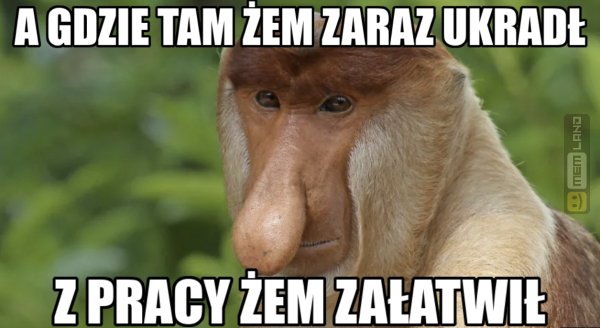 Śmieszny mem: 6547226 - MemLand