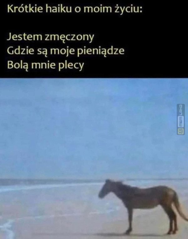 Śmieszny mem: 6549949 - MemLand