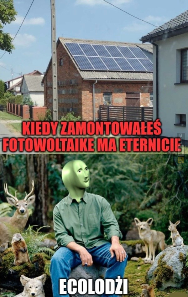 Śmieszny mem: 6555344 - MemLand