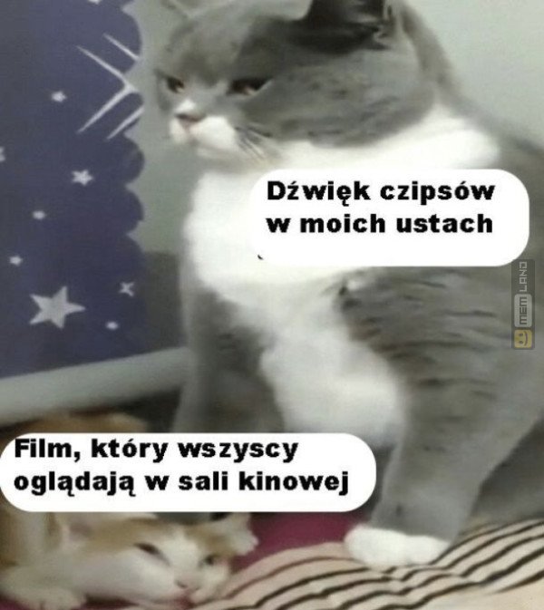 Śmieszny mem: 6556703 - MemLand