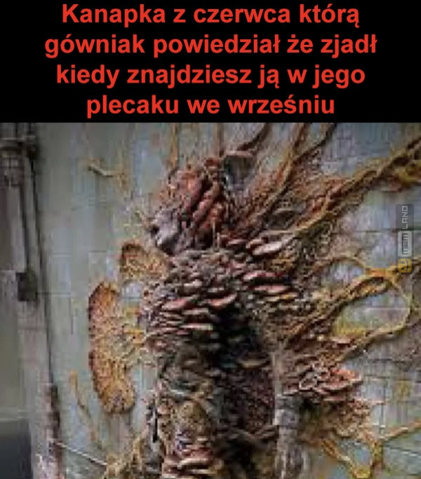 Śmieszny mem: 6558399 - MemLand