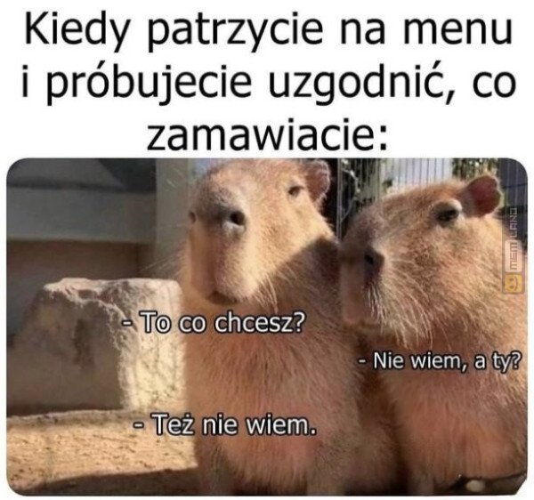 Śmieszny mem: 6562376 - MemLand