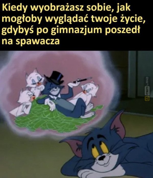 Śmieszny mem: 6564762 - MemLand
