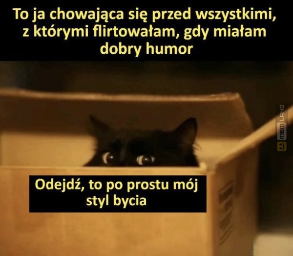 Śmieszny mem: 6565655 - MemLand