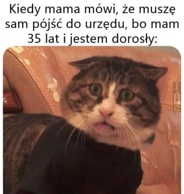 Śmieszny mem: 6566117 - MemLand