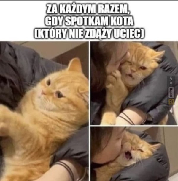 Śmieszny mem: 6577872 - MemLand