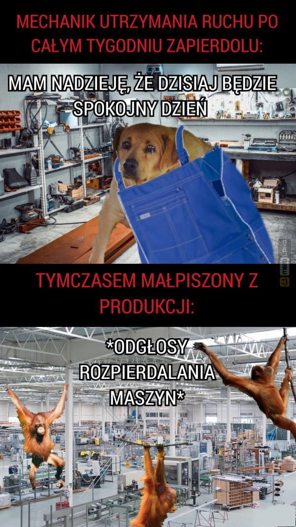 Śmieszny mem: 6585612 - MemLand