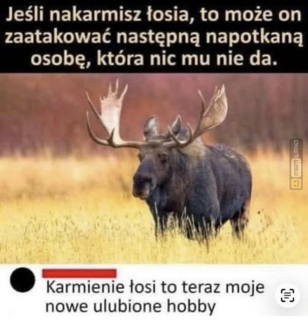 Śmieszny mem: 6591167 - MemLand