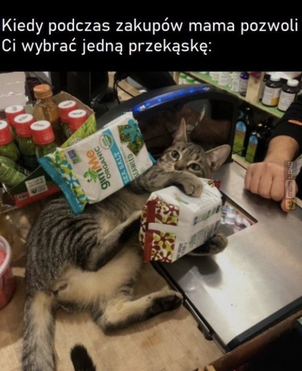 Śmieszny mem: 6591640 - MemLand