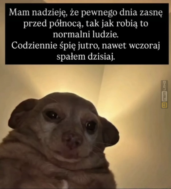 Śmieszny mem: 6606283 - MemLand