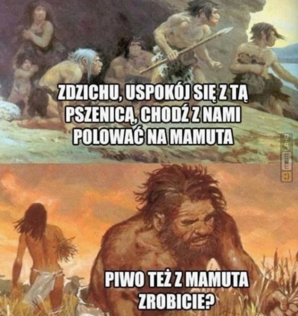 Śmieszny mem: 6609753 - MemLand