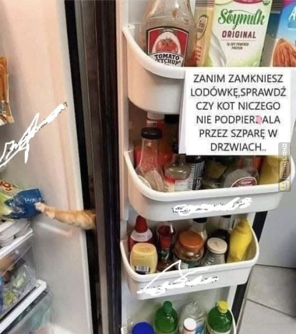 Śmieszny mem: 6626908 - MemLand