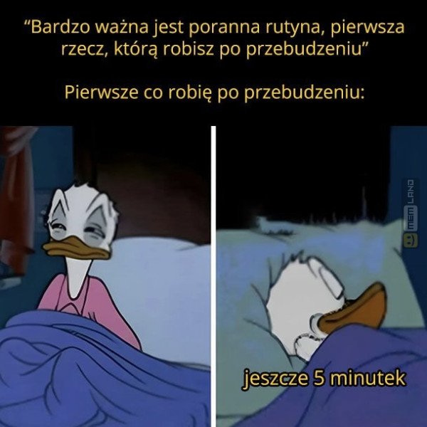 Śmieszny mem: 6636111 - MemLand