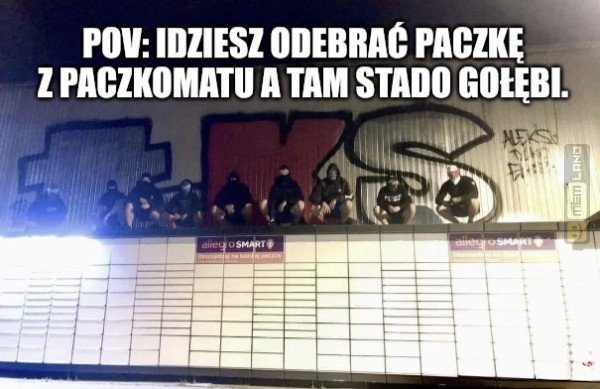 Śmieszny mem: 6638872 - MemLand