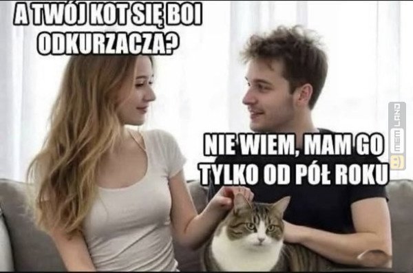 Śmieszny mem: 6640349 - MemLand