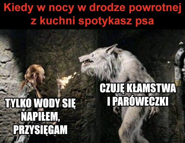 Śmieszny mem: 6641428 - MemLand