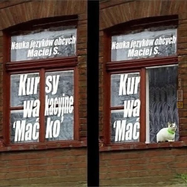 Śmieszny mem: 6646748 - MemLand