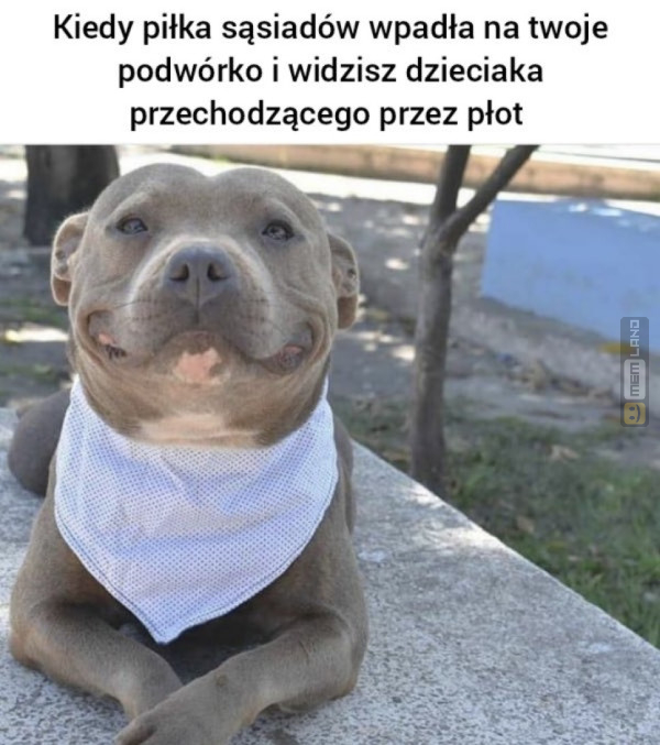 Śmieszny mem: 6653896 - MemLand