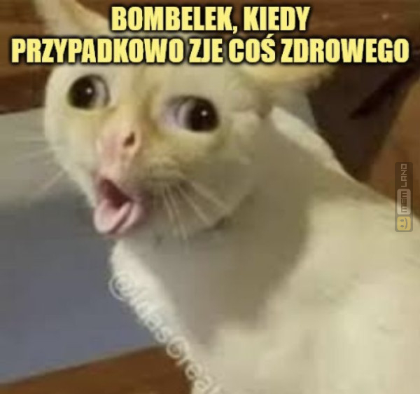 Śmieszny mem: 6654599 - MemLand