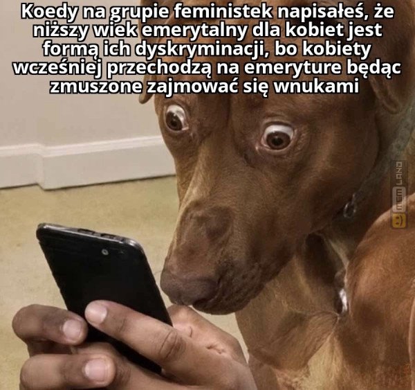 Śmieszny mem: 6658224 - MemLand