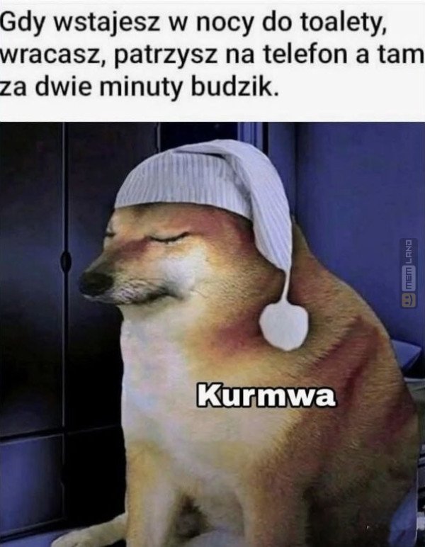 Śmieszny mem: 6673538 - MemLand