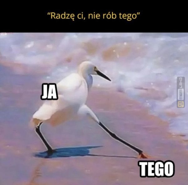 Śmieszny mem: 6674336 - MemLand