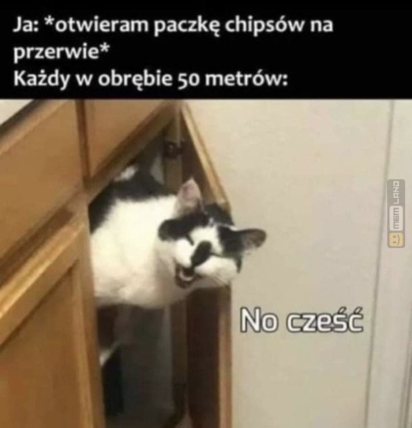 Śmieszny mem: 6678460 - MemLand