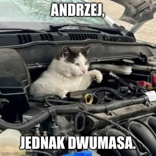 Śmieszny mem: 6679495 - MemLand