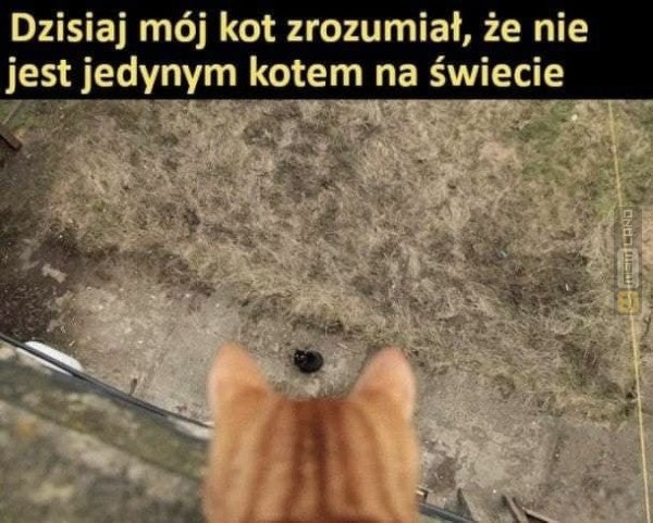 Śmieszny mem: 6682832 - MemLand