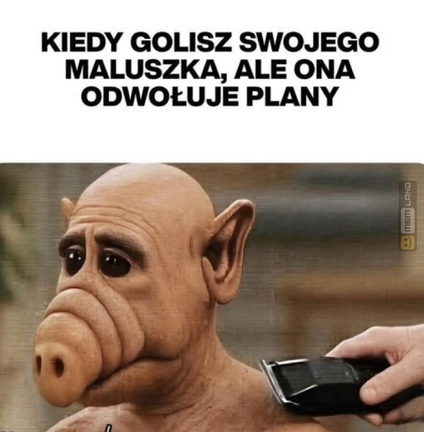 Śmieszny mem: 6684179 - MemLand