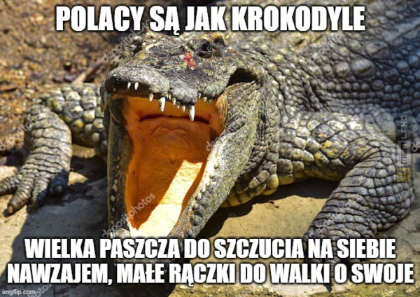 Śmieszny mem: 6686896 - MemLand