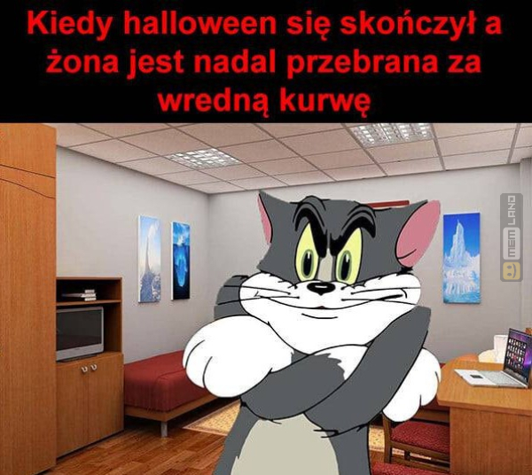 Śmieszny mem: 6688861 - MemLand