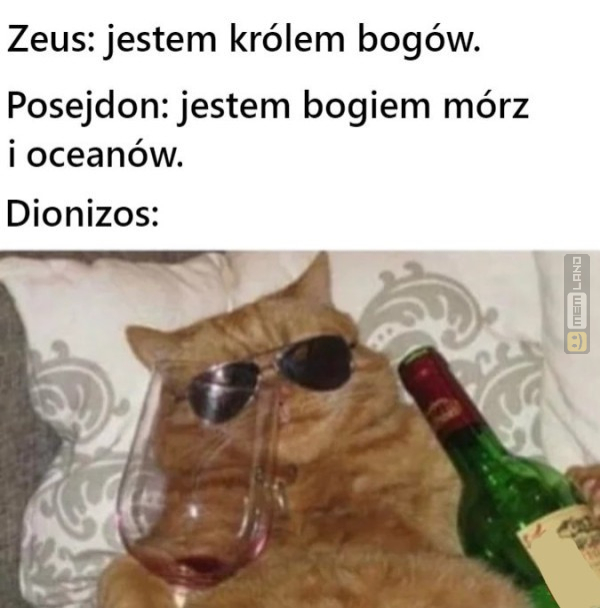 Śmieszny mem: 6689057 - MemLand