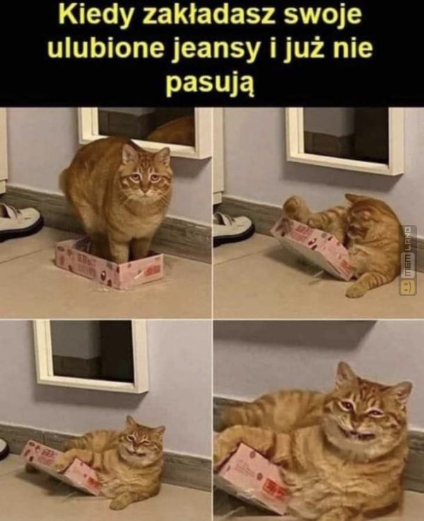 Śmieszny mem: 6692730 - MemLand