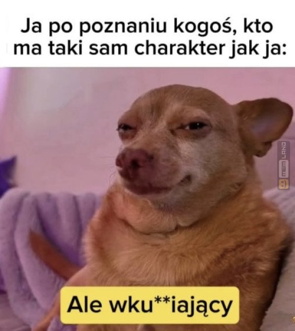 Śmieszny mem: 6693699 - MemLand