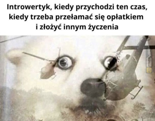 Śmieszny mem: 6694733 - MemLand