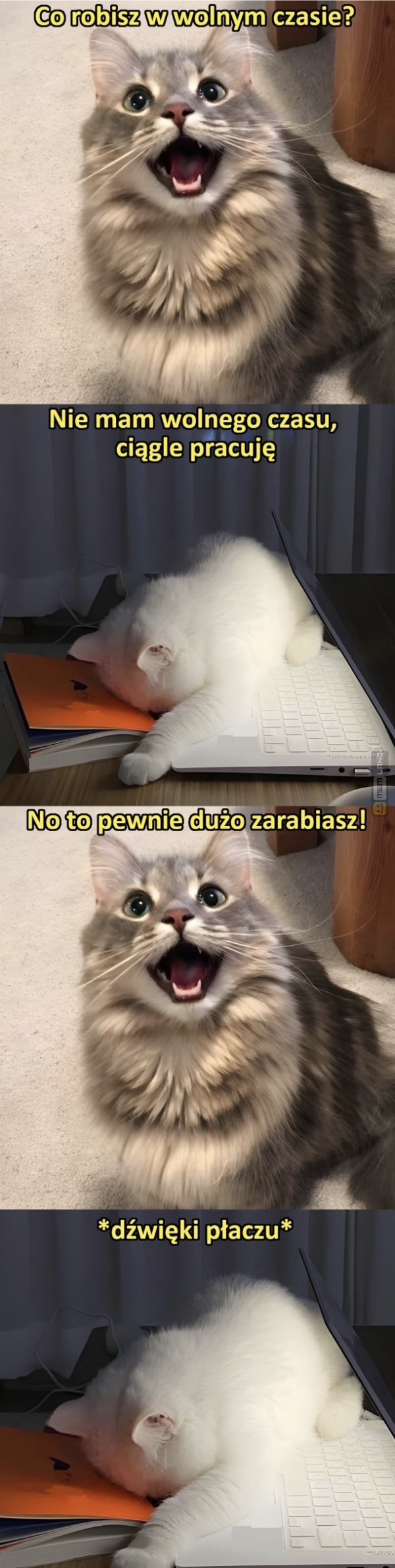 Śmieszny mem: 6703051 - MemLand