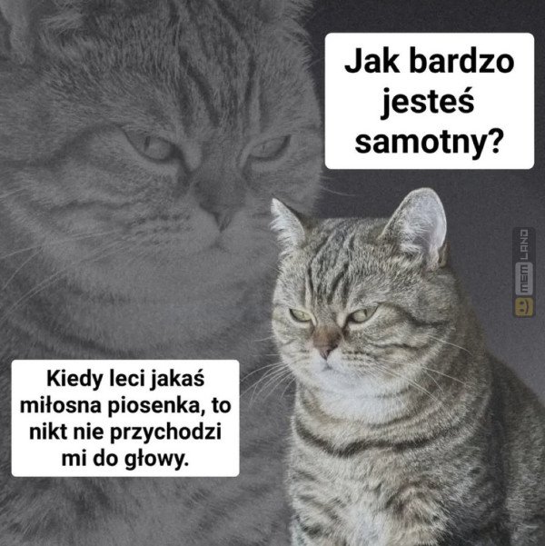 Śmieszny mem: 6703087 - MemLand