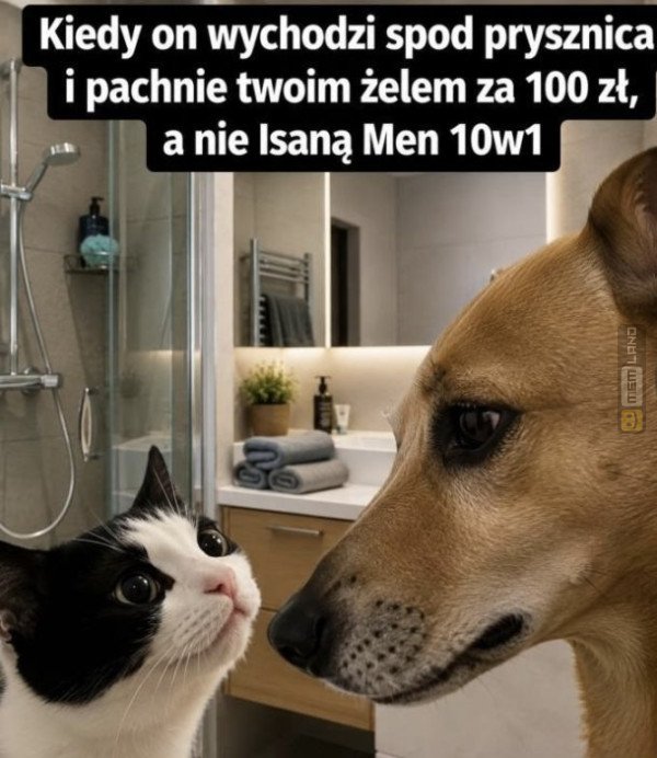 Śmieszny mem: 6709811 - MemLand