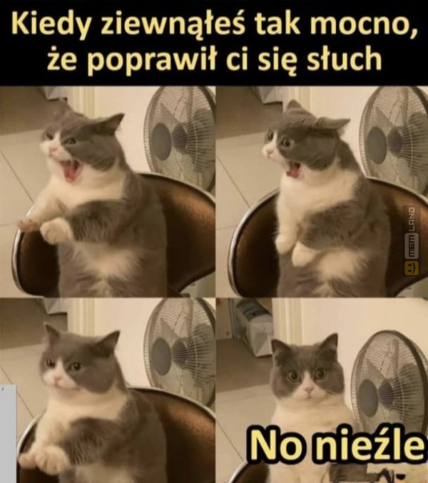 Śmieszny mem: 6727523 - MemLand