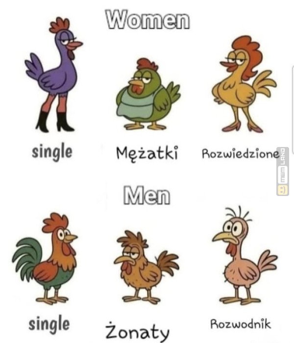 Śmieszny mem: 6731185 - MemLand