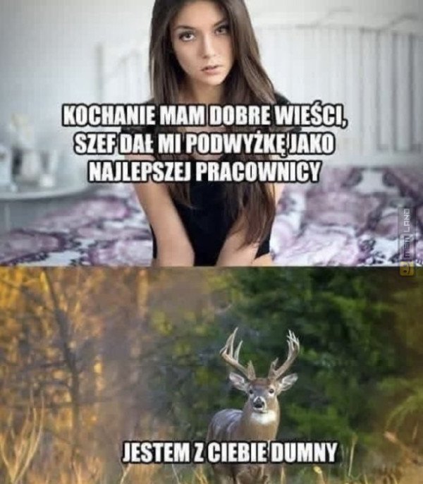 Śmieszny mem: 6741875 - MemLand