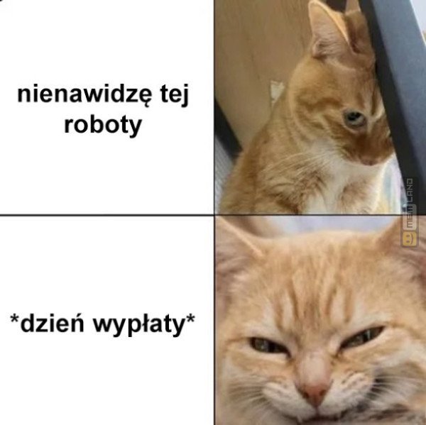 Śmieszny mem: 6751792 - MemLand