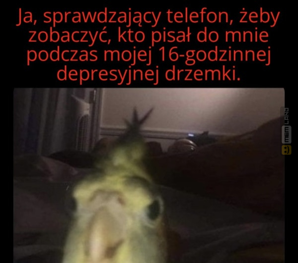Śmieszny mem: 6754925 - MemLand